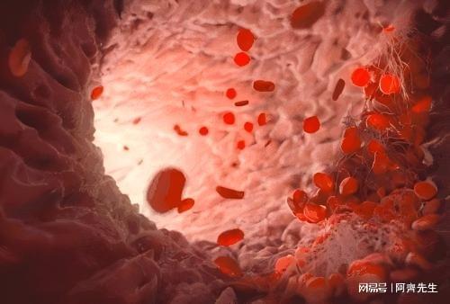 远离心脑危机茶色素为您的血管健康保驾护航